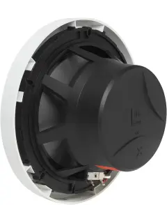 61kq2saNwBL._AC_SL1300_.jpg